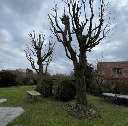 WhatsApp Image 2026-03-25 at 10.55.16